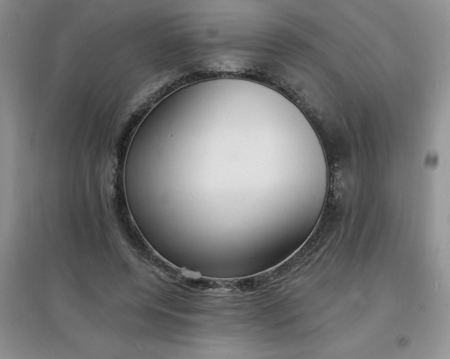 X0000097670544200803142156