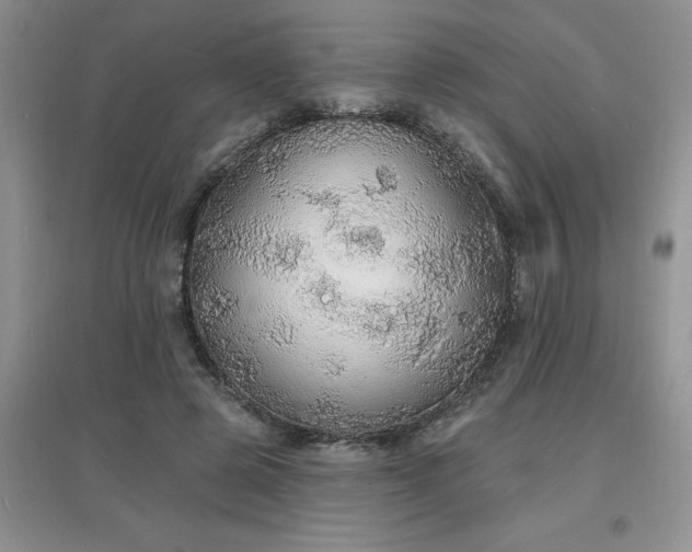 X0000097670545200803142157