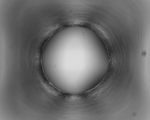 X0000097670546200803142157