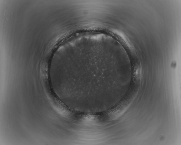 X0000097670547200803142157