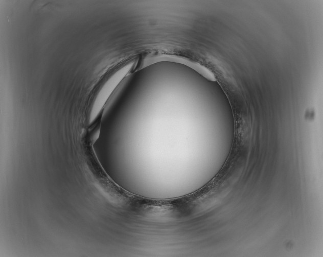 X0000097670548200803142157