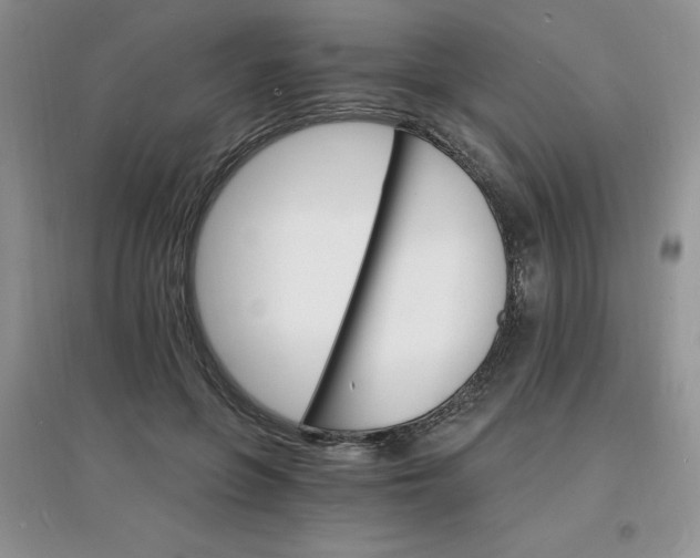 X0000097670551200803142157