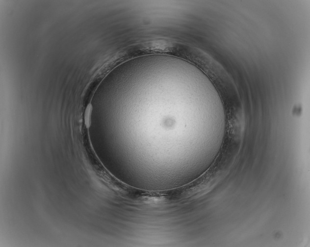 X0000097670552200803142157