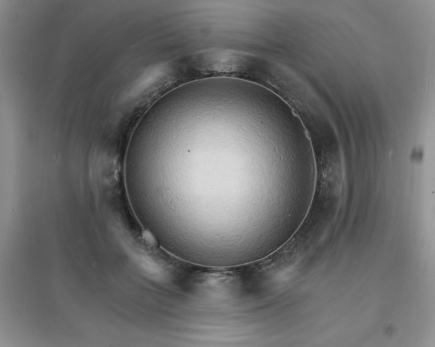 X0000097670555200803142157