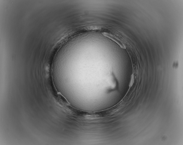 X0000097670556200803142157