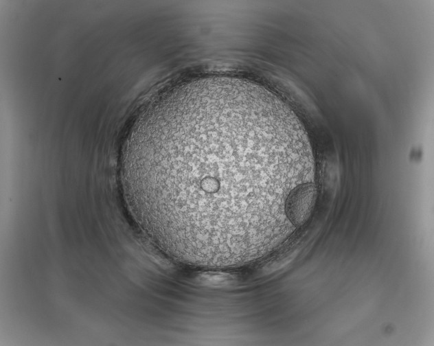 X0000097670557200803142157