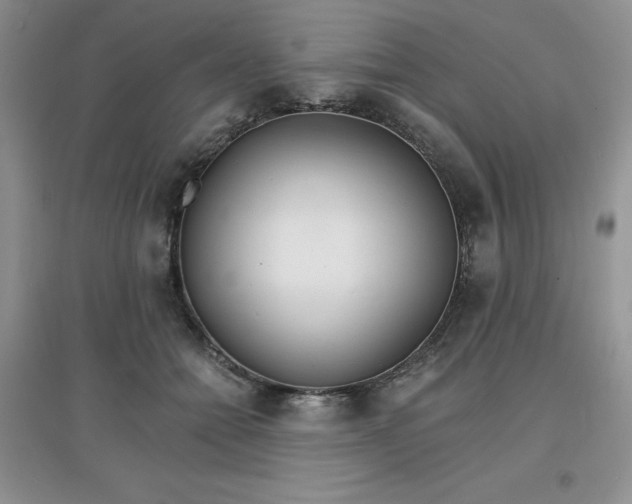X0000097670558200803142157