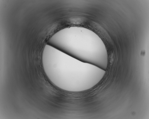 X0000097670559200803142157