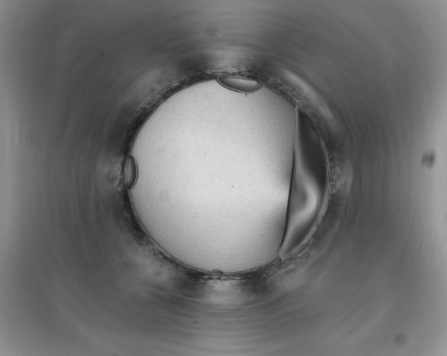 X0000097670560200803142157