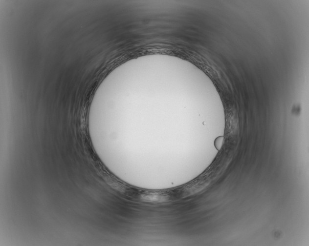 X0000097670561200803142157