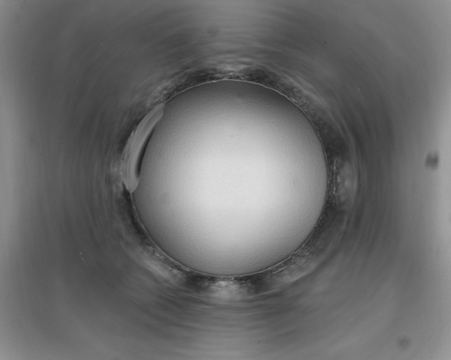 X0000097670562200803142157