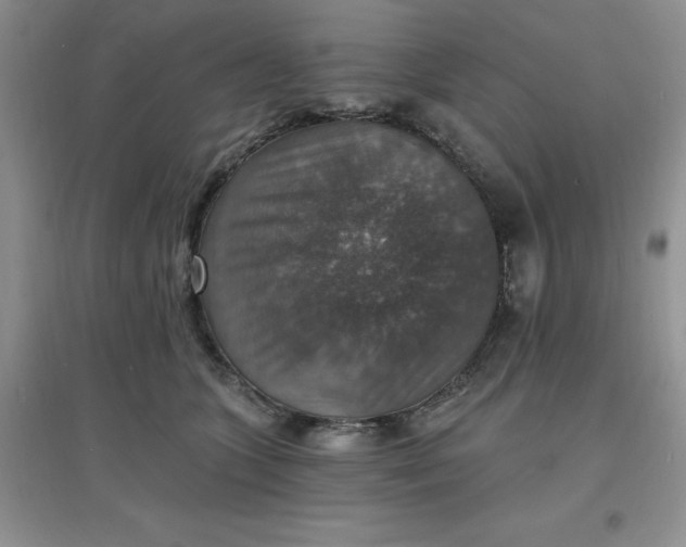 X0000097670563200803142157