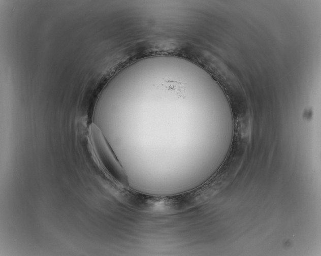 X0000097670564200803142157