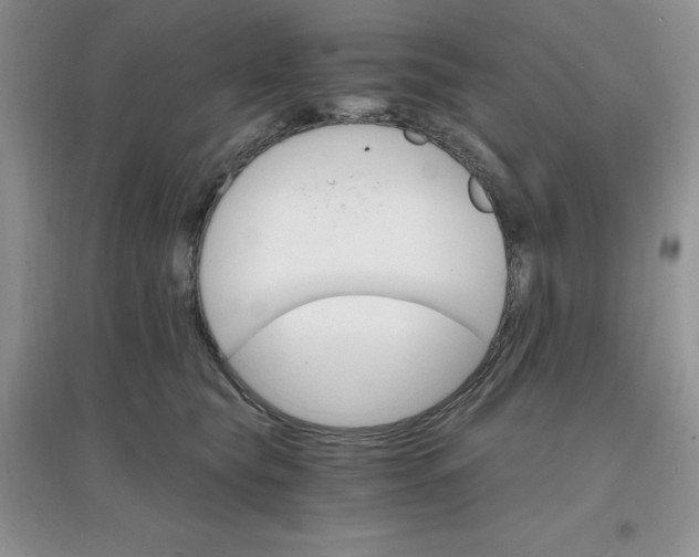 X0000097670565200803142157