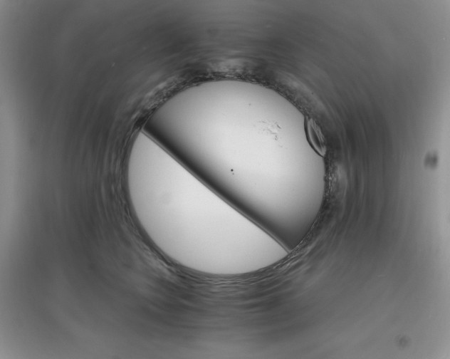 X0000097670566200803142157
