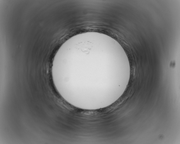 X0000097670567200803142157