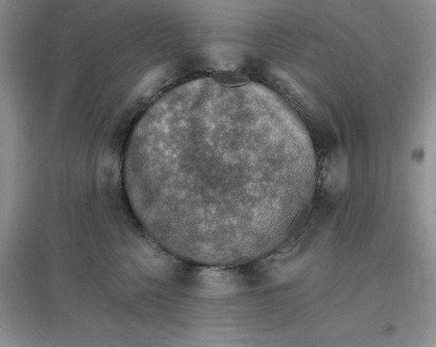 X0000097670568200803142157