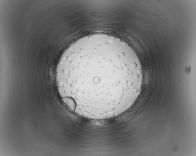 X0000097670569200803142157