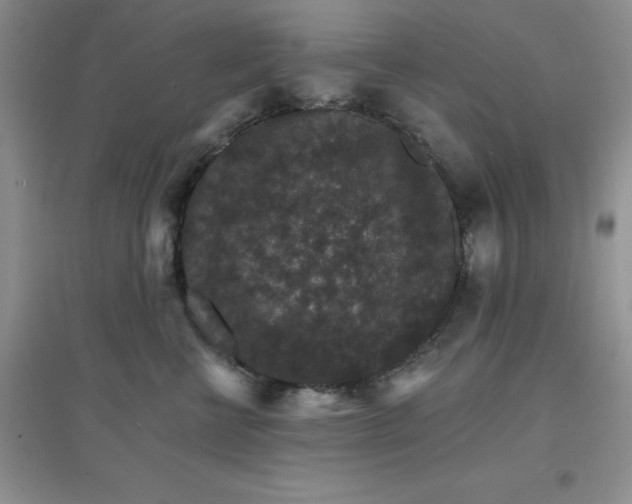 X0000097670570200803142157