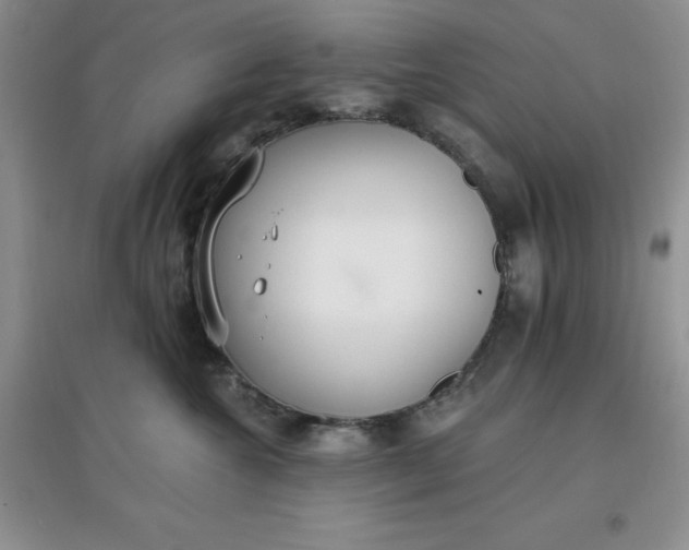 X0000097670572200803142157