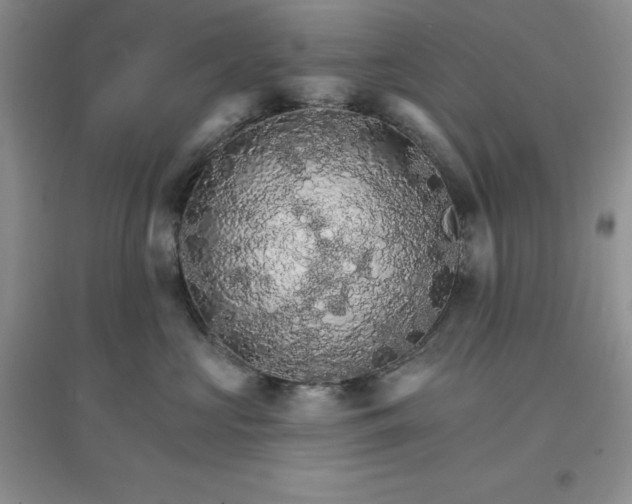 X0000097670573200803142157