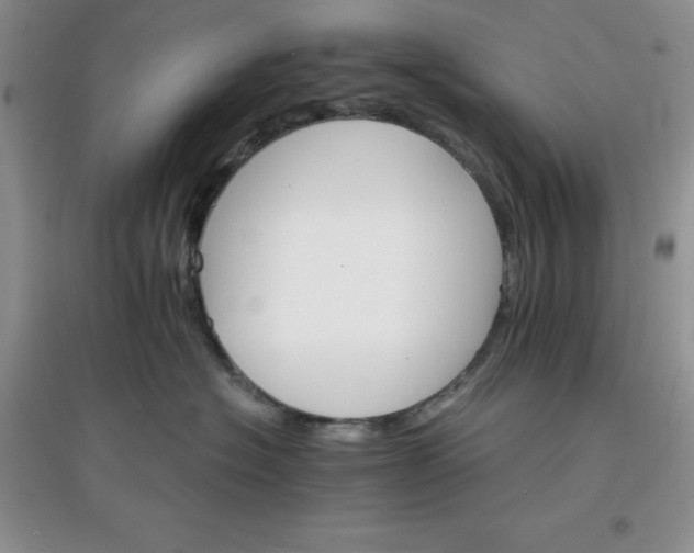 X0000097670574200803142157