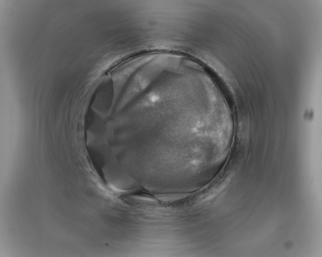 X0000097670577200803142156