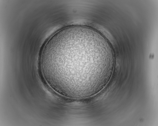 X0000097670578200803142156