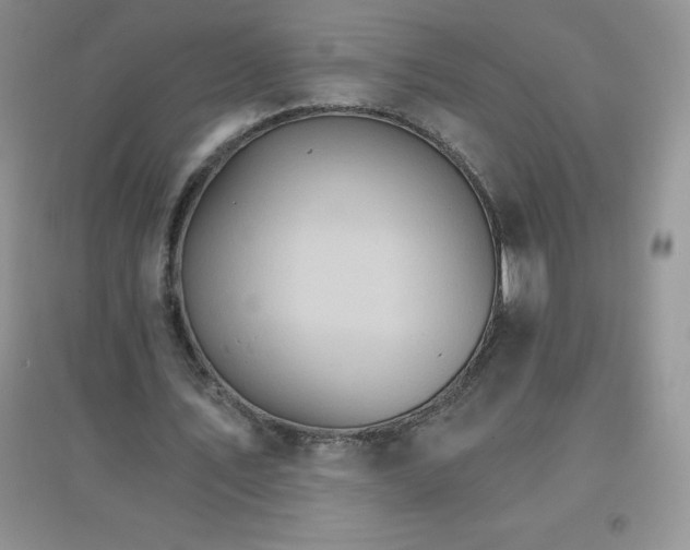 X0000097670579200803142156