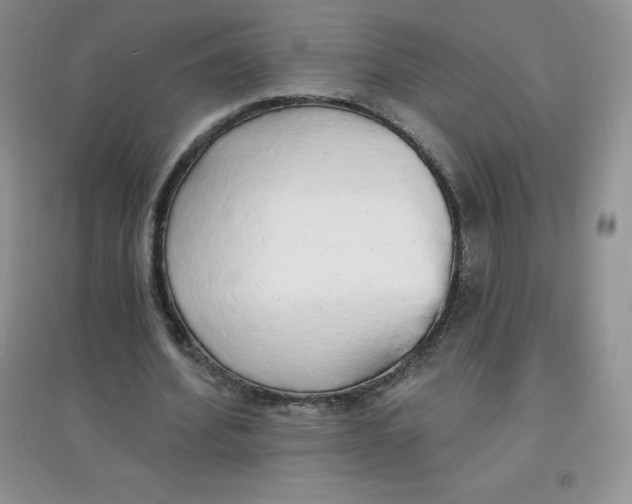 X0000097670580200803142156
