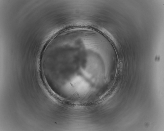 X0000097670581200803142156