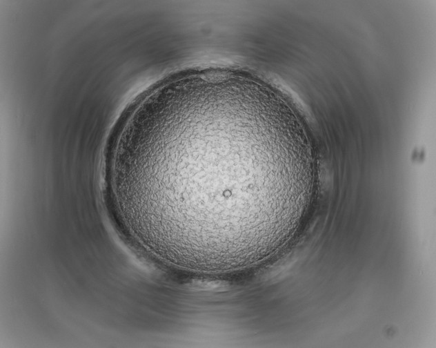 X0000097670582200803142156