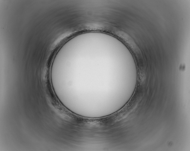 X0000097670583200803142156