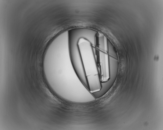 X0000097670585200803142156
