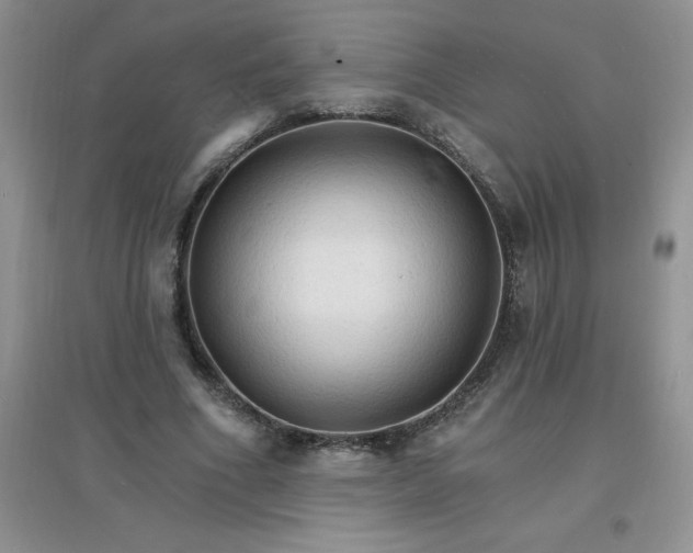 X0000097670586200803142156
