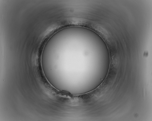 X0000097670587200803142156