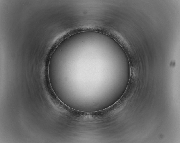 X0000097670588200803142156