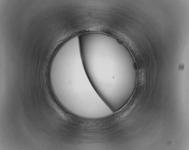 X0000097670589200803142156