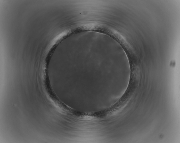 X0000097670590200803142156
