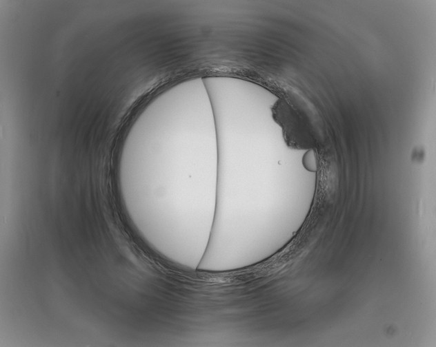 X0000097670591200803142156