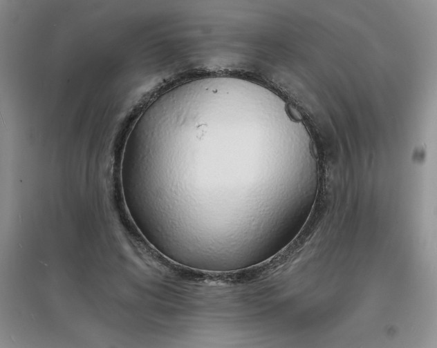 X0000097670592200803142156