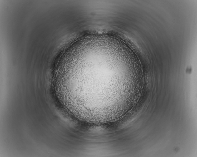 X0000097670594200803142156