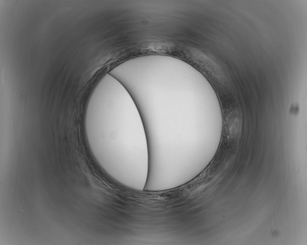 X0000097670595200803142156