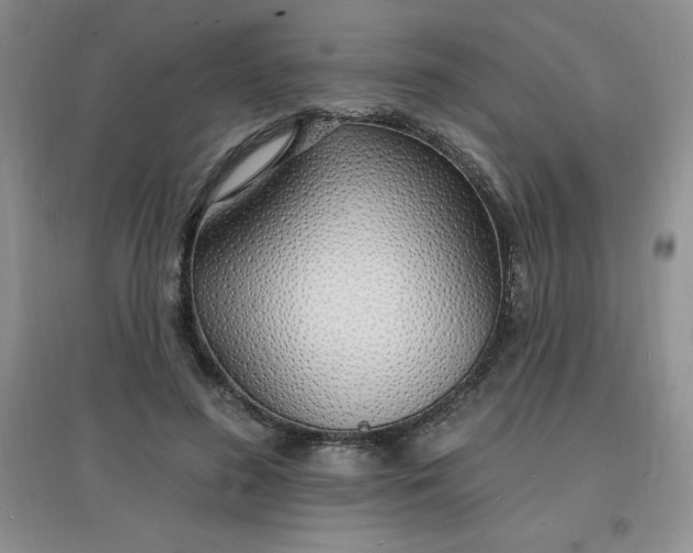 X0000097670596200803142156