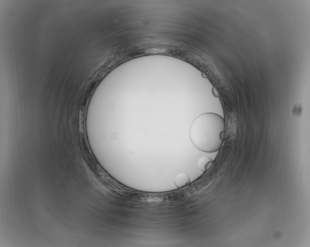X0000097670598200803142156