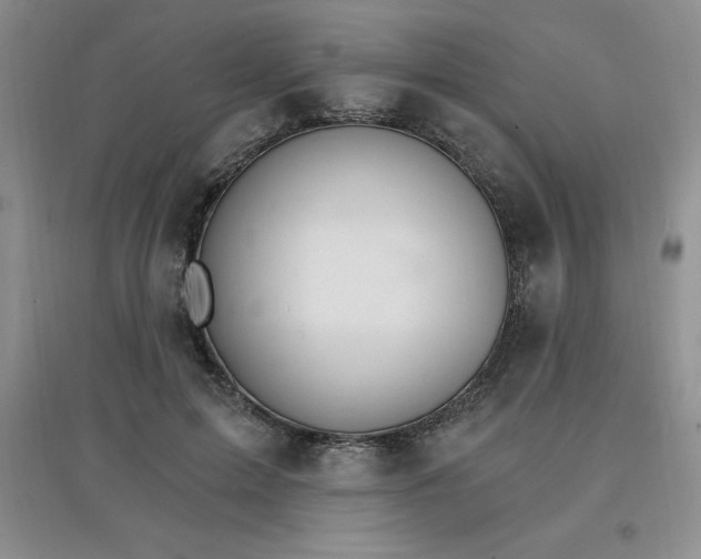 X0000097670599200803142156