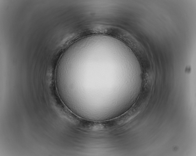 X0000097670600200803142156