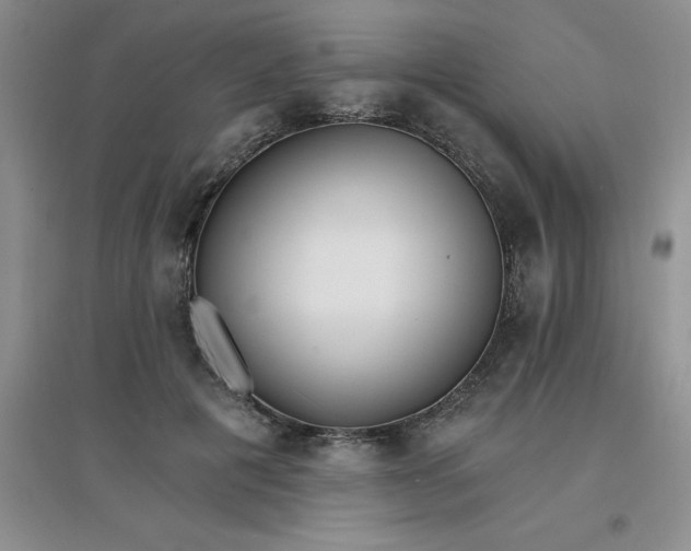X0000097670601200803142156