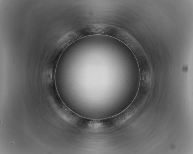 X0000097670602200803142156