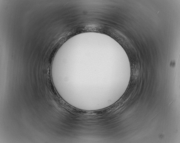 X0000097670603200803142156